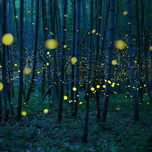 国产做受❌❌❌高潮久久无痛魔神
