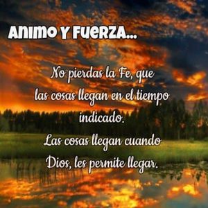 国产做受❌❌❌高潮久久无痛魔神
